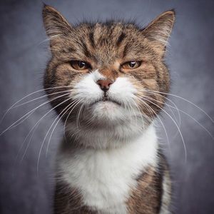 Meet your Posher, Yada